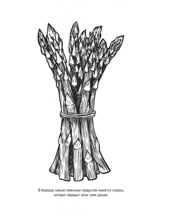 Тибетская медицина. Секреты правильного питания