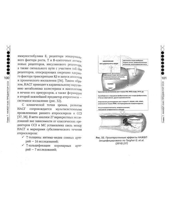 Неалкогольная жировая болезнь печени. Руководство для практикующих врачей