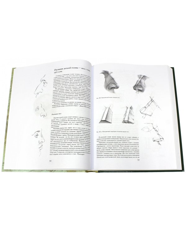 Рисунок. Основы учебного академического рисунка. Учебник