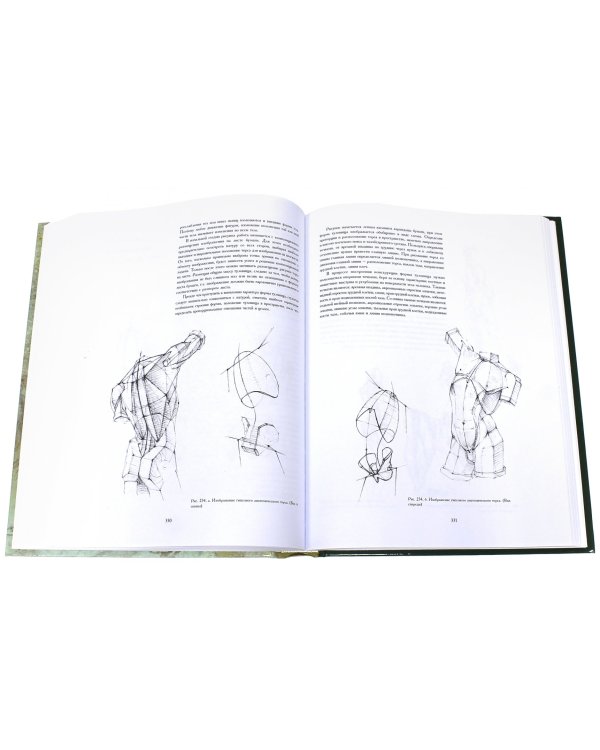 Рисунок. Основы учебного академического рисунка. Учебник