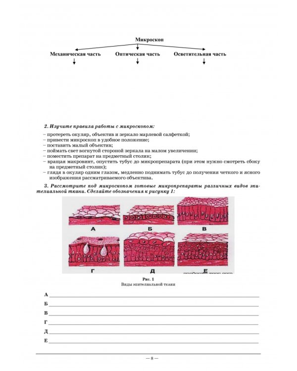 Анатомия и физиология человека. Рабочая тетрадь