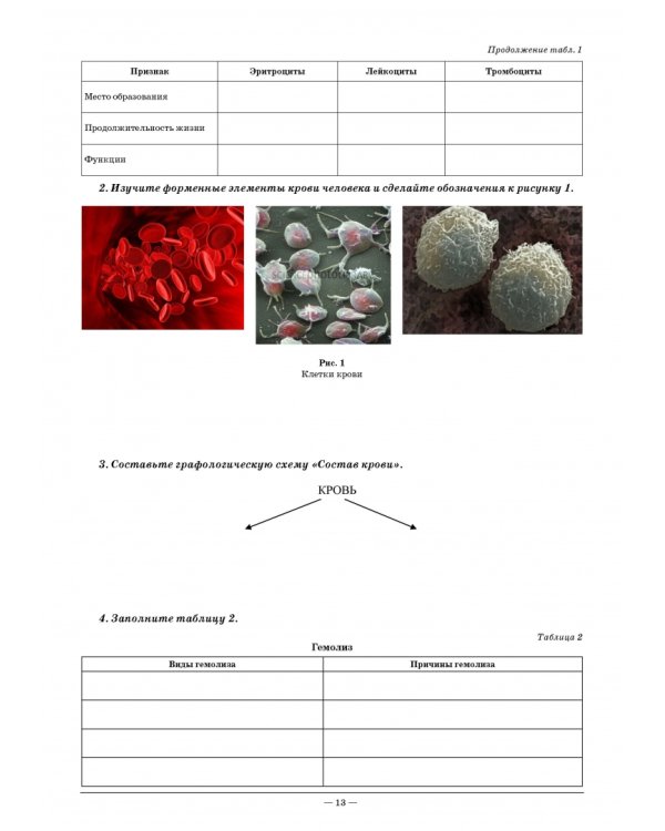 Анатомия и физиология человека. Рабочая тетрадь