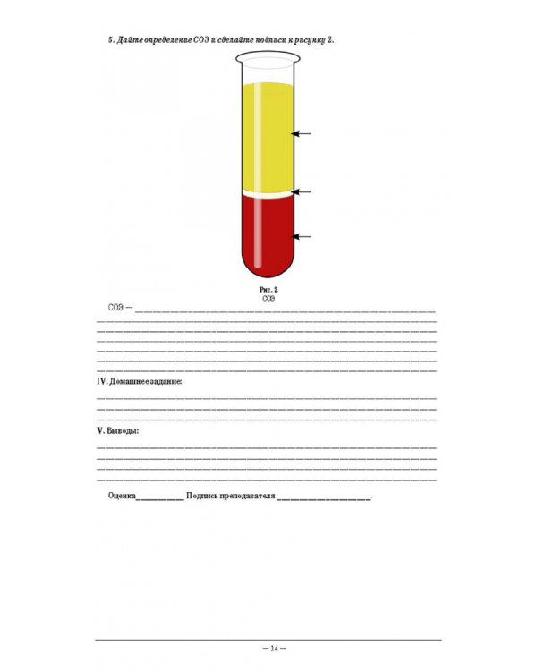 Анатомия и физиология человека. Рабочая тетрадь