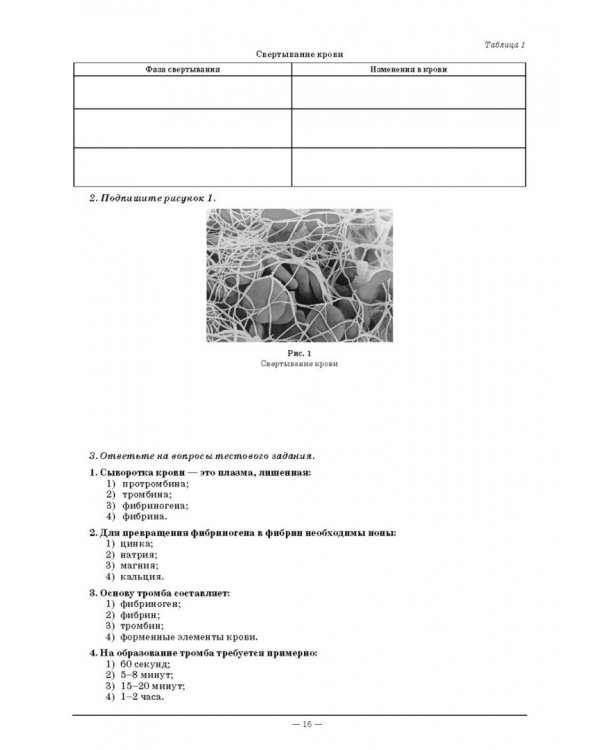 Анатомия и физиология человека. Рабочая тетрадь
