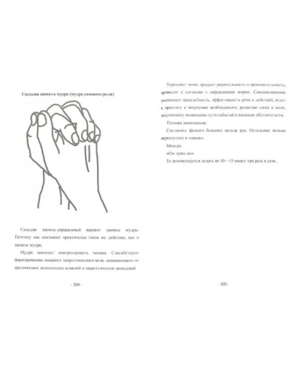 Большая книга мудр. Основы восточных исцеляющих практик