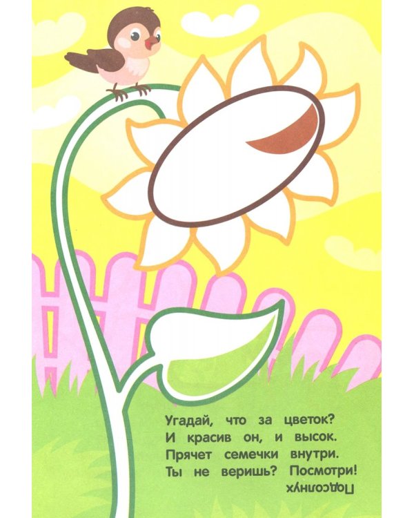 Замечательный сад. Книжка-раскраска с загадками