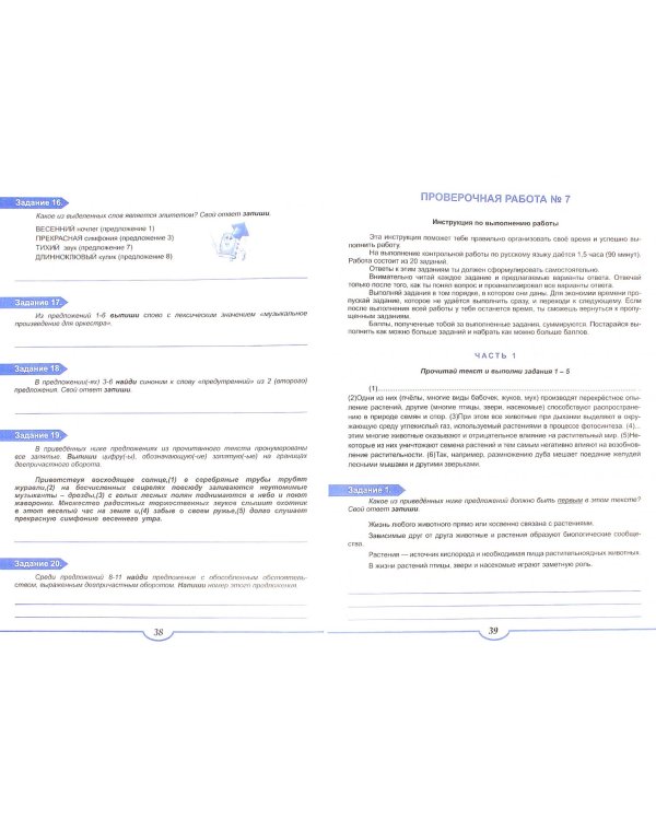 Подготовка к Всероссийской проверочной работе. Русский язык. 8 класс. Тренажёр для обучающихся