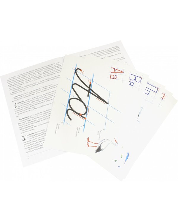 Учимся Каллиграфии. Образцы написания БУКВ