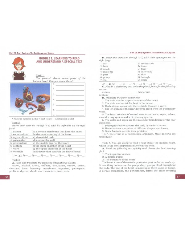 Английский язык. Базовый курс