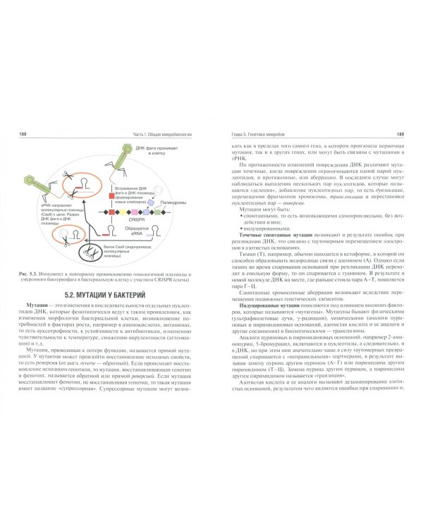Медицинская микробиология, вирусология и иммунология. Учебник. Том 1