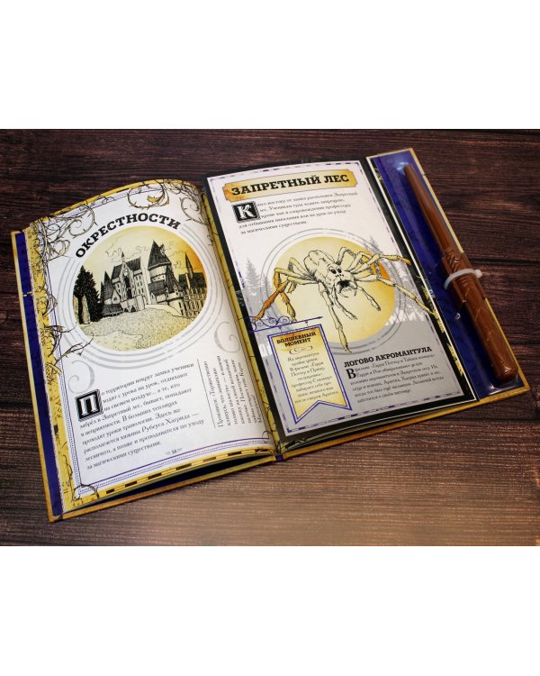 Гарри Поттер. Карта Мародёров (с волшебной палочкой)