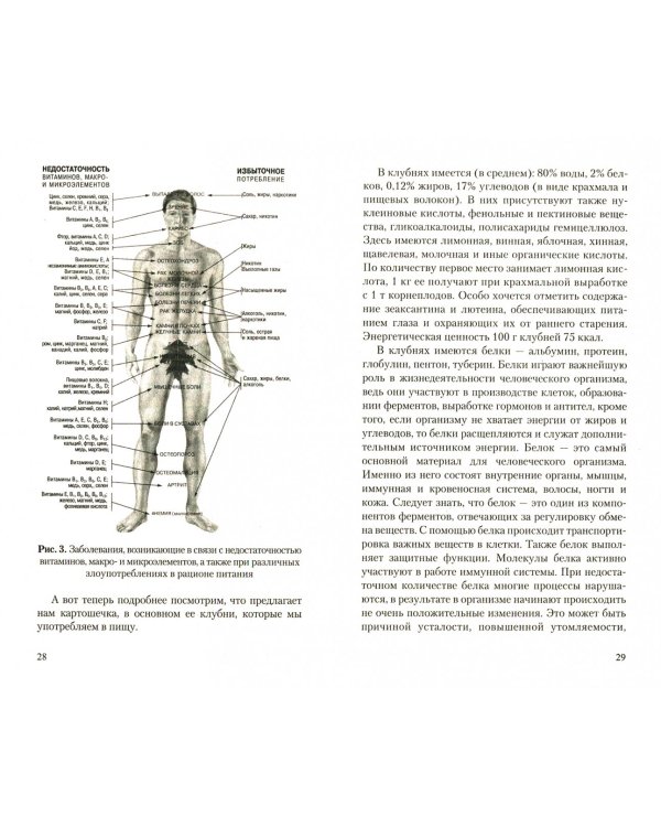 Картофель.Полезные и лечебные свойства.Мифы и реальность