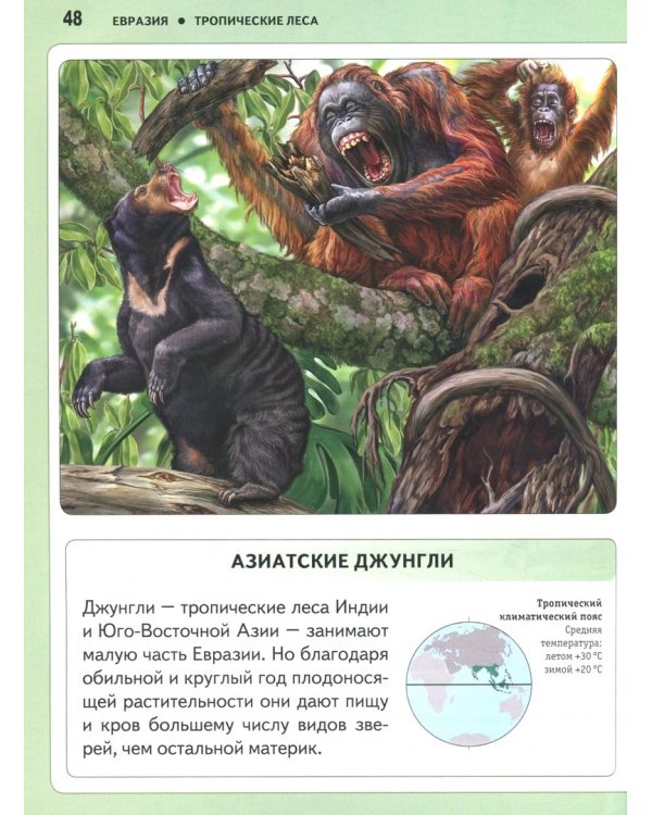 Животные. Панорама нужных знаний