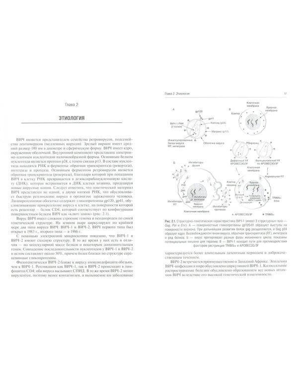 ВИЧ-инфекция в терапевтической практике