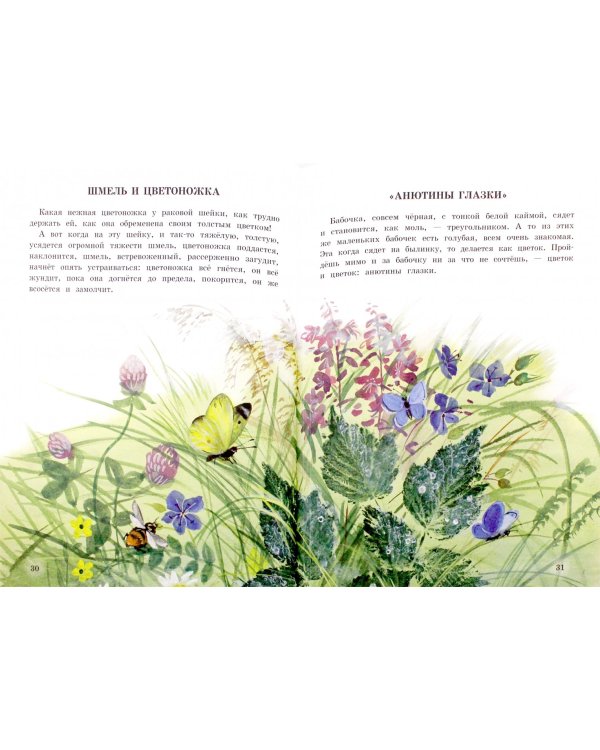 Беличья память