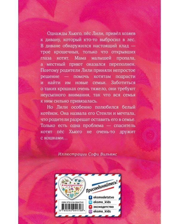 Котёнок Стенли, или Настоящий клад