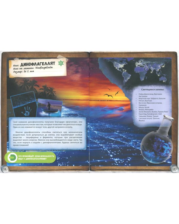Микромир. Жизнь в капле морской воды. 4D Энциклопедия в дополненной реальности