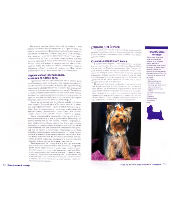 Йоркширский терьер (+DVD) (+ DVD)