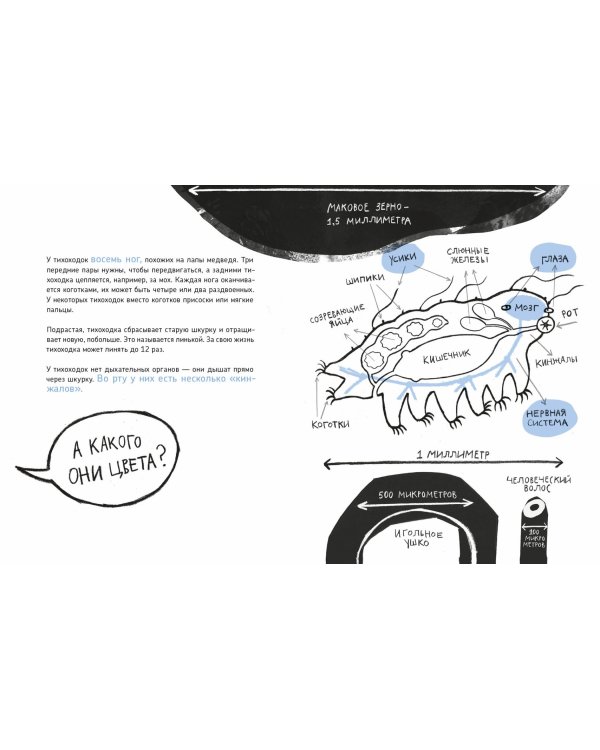 Микросупергерои. Самый живучий