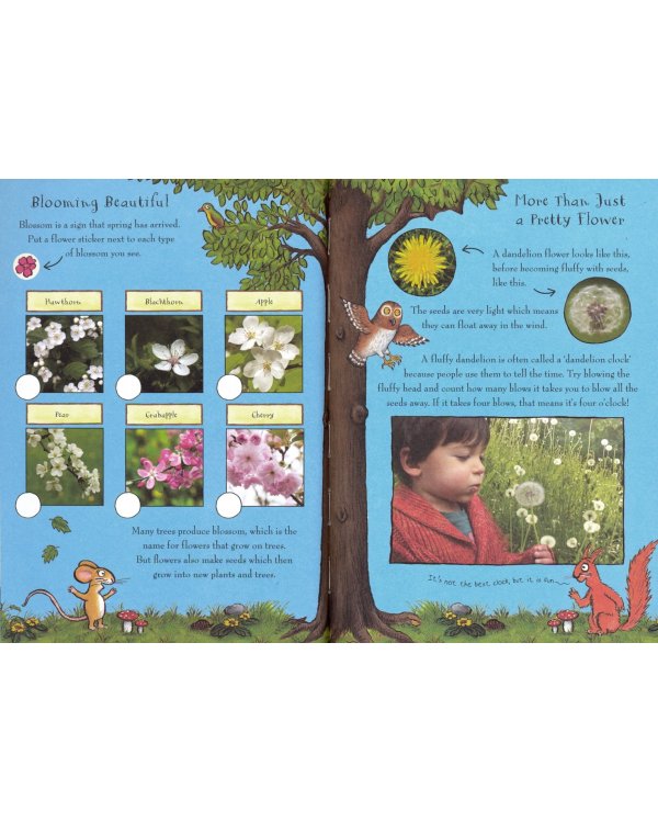 The Gruffalo Spring and Summer Nature Trail