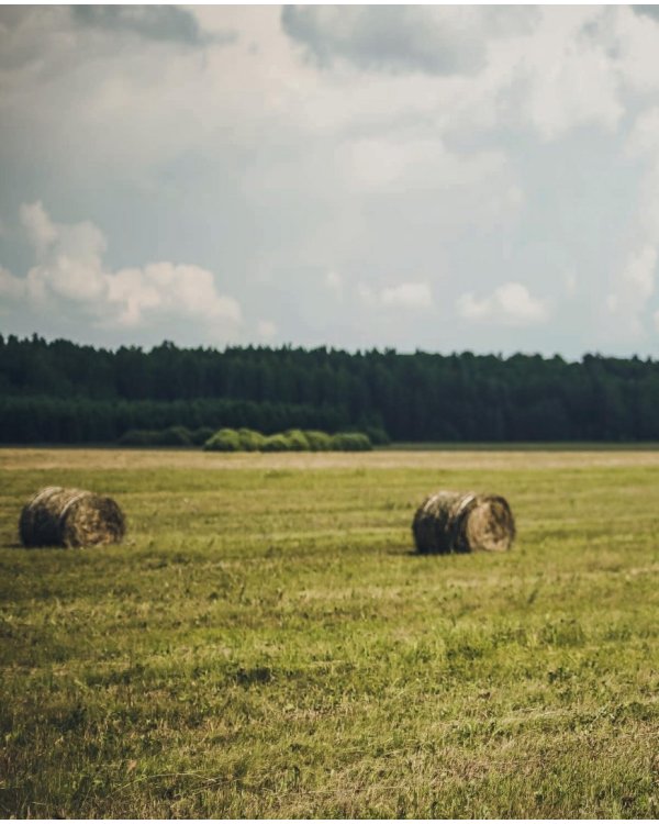 Про любовь к десертам. Dolce vita