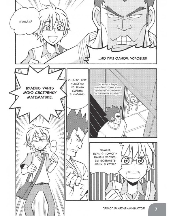 Занимательная математика. Линейная алгебра. Манга