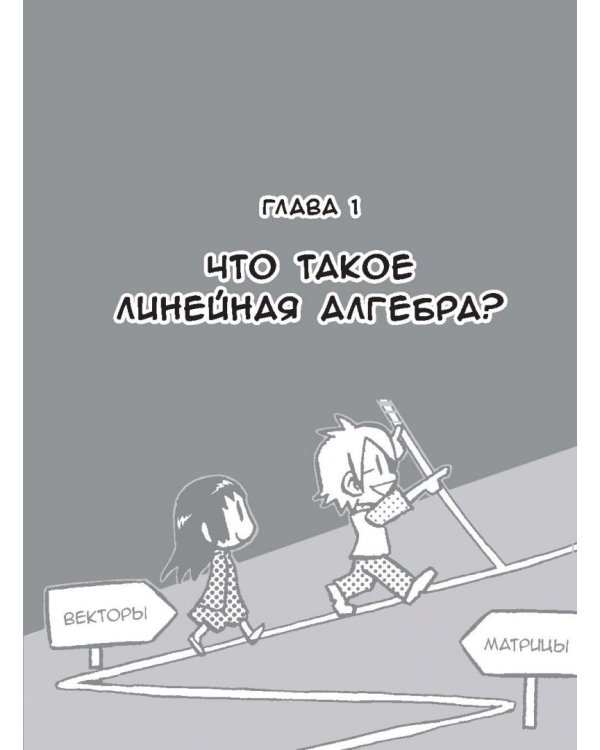 Занимательная математика. Линейная алгебра. Манга