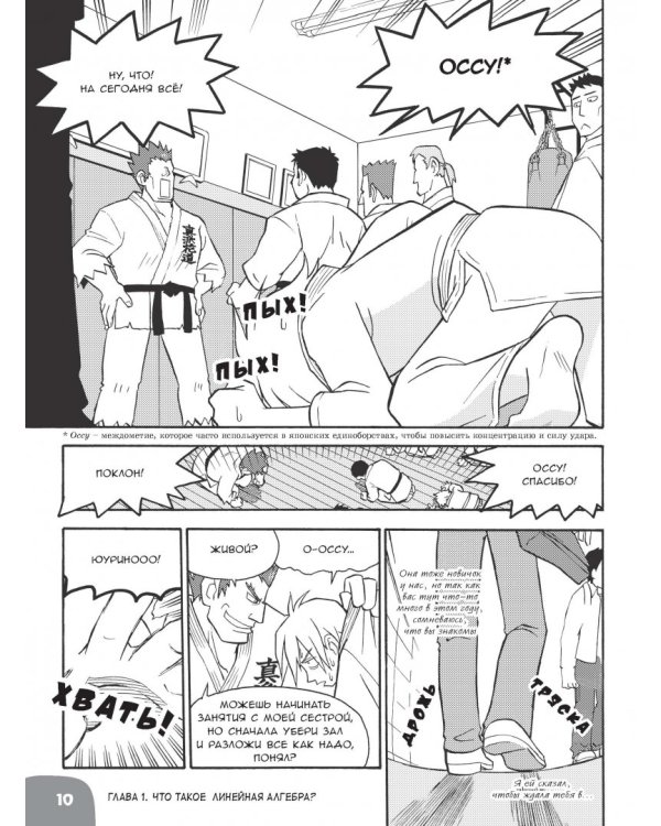 Занимательная математика. Линейная алгебра. Манга