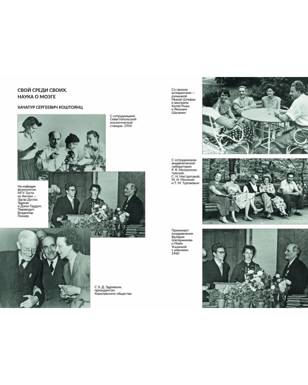 Выберу самое синее море. Дело, слово, сцена