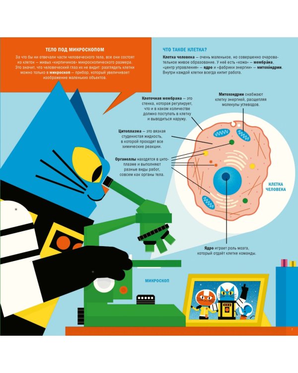 Профессор Астрокот и его путешествие по телу человека
