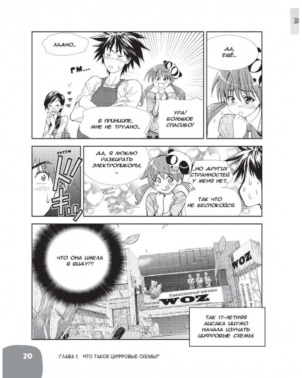 Занимательная электроника. Цифровые схемы. Манга