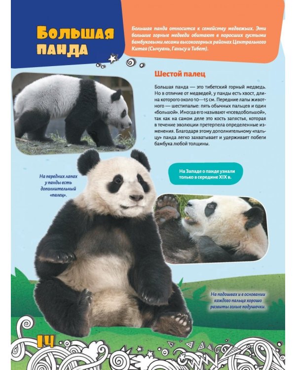 Большая энциклопедия знаний. Животные