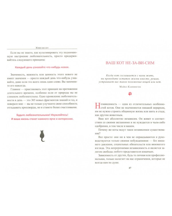 Живи как кот