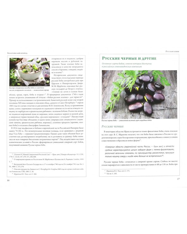 Русские бобы