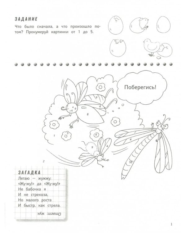Жучки и букашки. Книжка-раскраска
