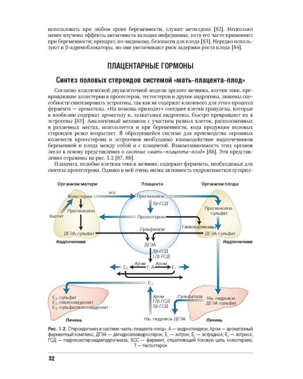 Эндокринологические проблемы при беременности, при старении, в спорте