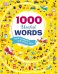 1000 Useful Words: Build Vocabulary and Literacy Skills