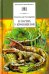В гостях у крокодилов