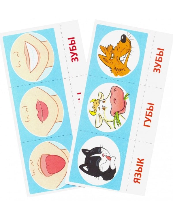 Набор карточек с рисунками. Артикуляционная гимнастика. Для детей 4-7 лет