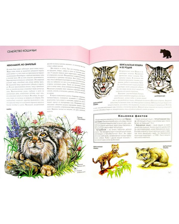 Животные. Полная энциклопедия