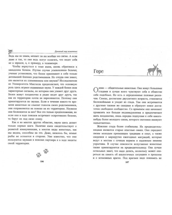 Духовный мир животных