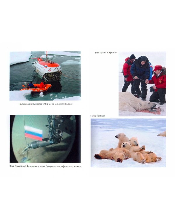 Высокие широты