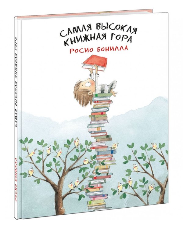 Самая высокая книжная гора
