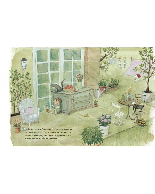 Самая высокая книжная гора