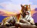 Холст с красками "Палитра. Рисование по номерам. Большой тигр на закате", 40х50 см