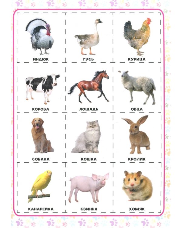 Разрезные элементы 5 в 1. Животные