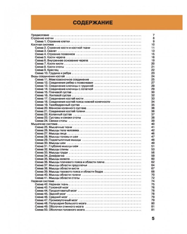 Большой атлас анатомии человека