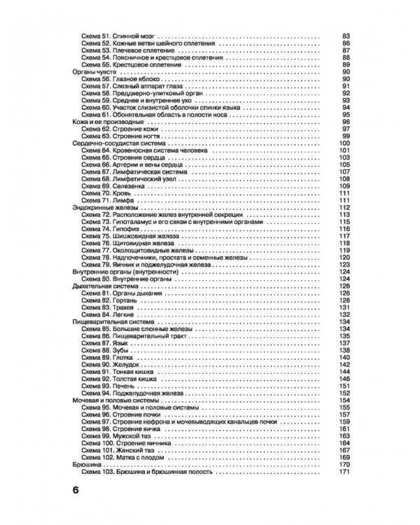 Большой атлас анатомии человека