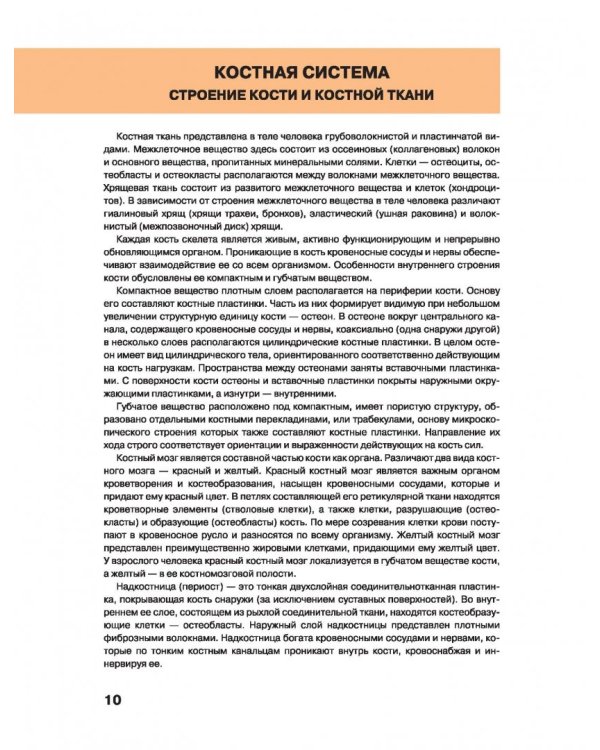 Большой атлас анатомии человека