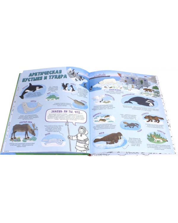 Творческая энциклопедия "Большое путешествие". Раскрась и узнай